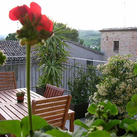 Cappone B&B Morciano di Romagna Exteriör bild