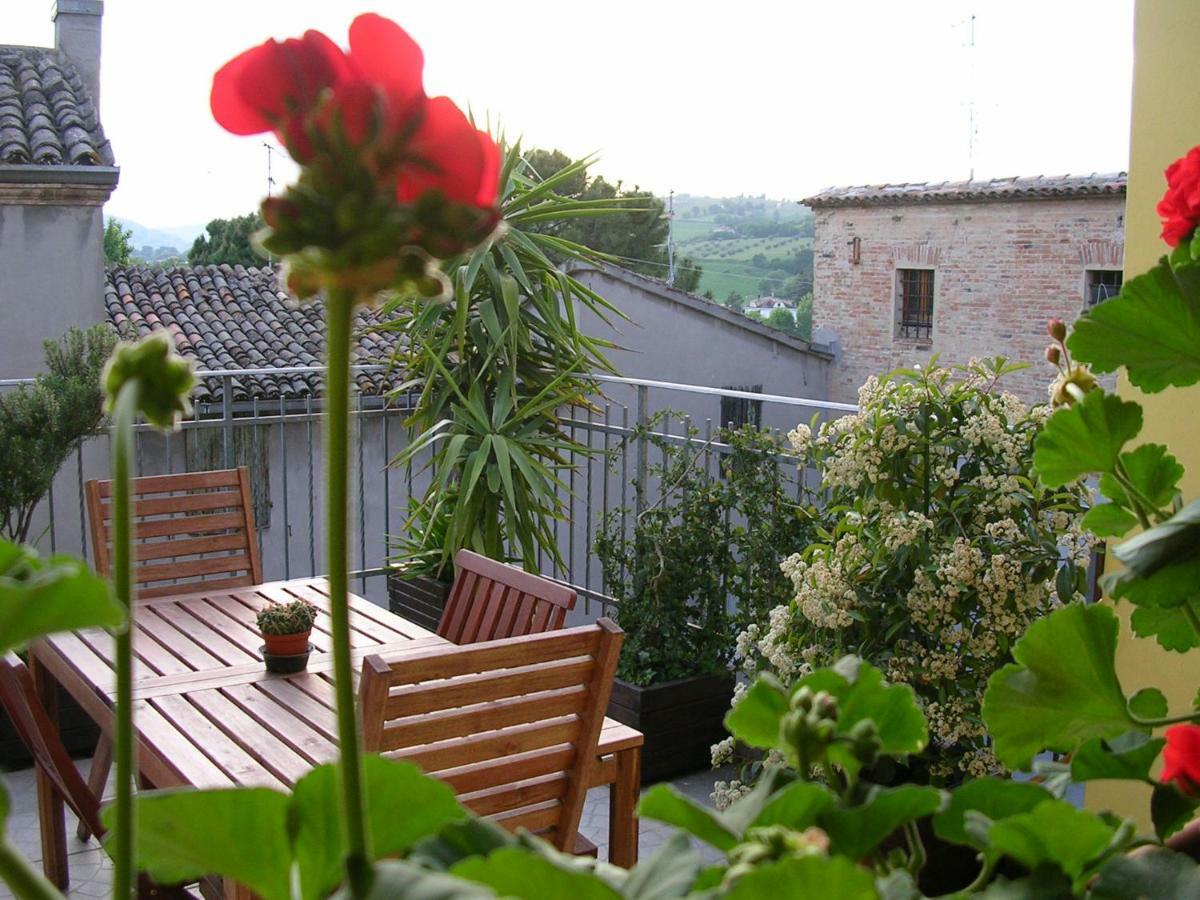 Cappone B&B Morciano di Romagna Exteriör bild
